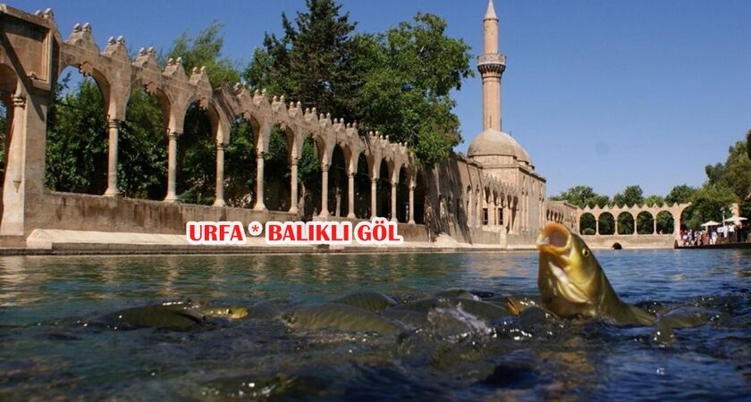 Mardin - Urfa Turu